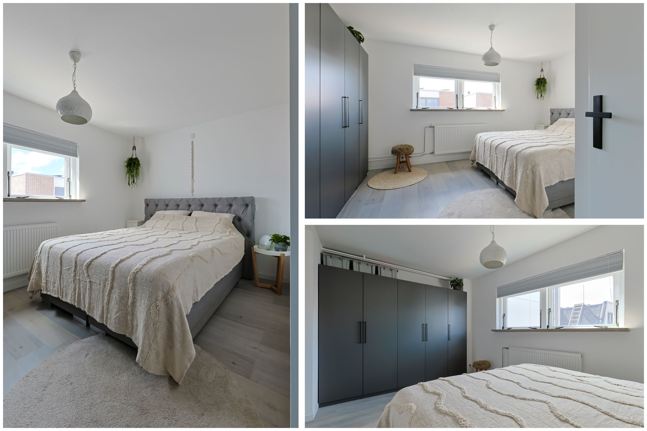 Foto 24 van Eekhoorntjesbrood 33