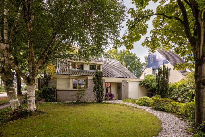 Foto 2 van Salamander 56