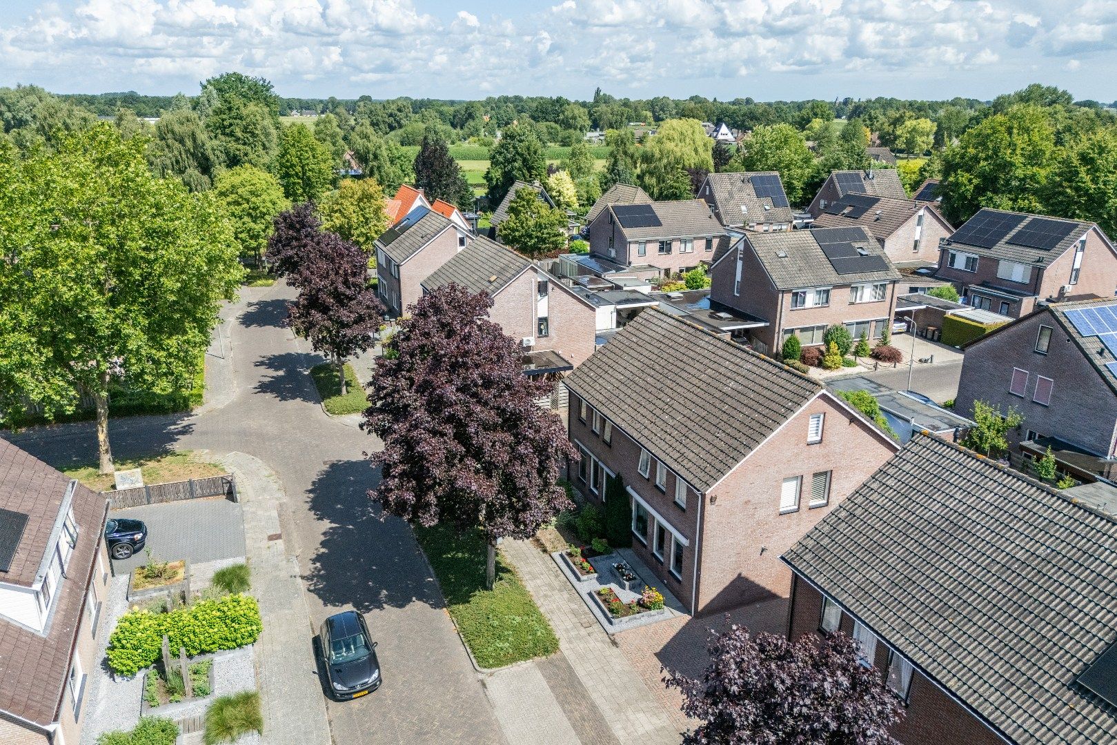 Photo 3 of De Fazant 10