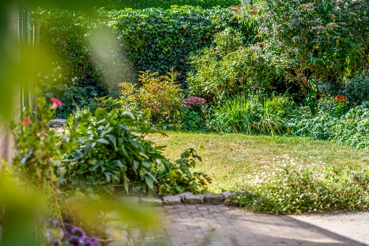 Foto 34 van De Tip 3