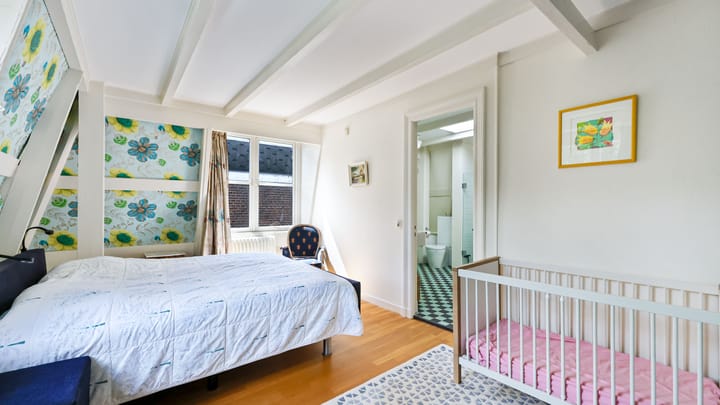 Photo 49 of Maliesingel 46-BS