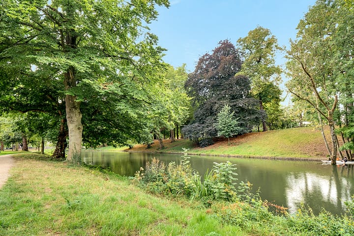 Photo 66 of Maliesingel 46-BS