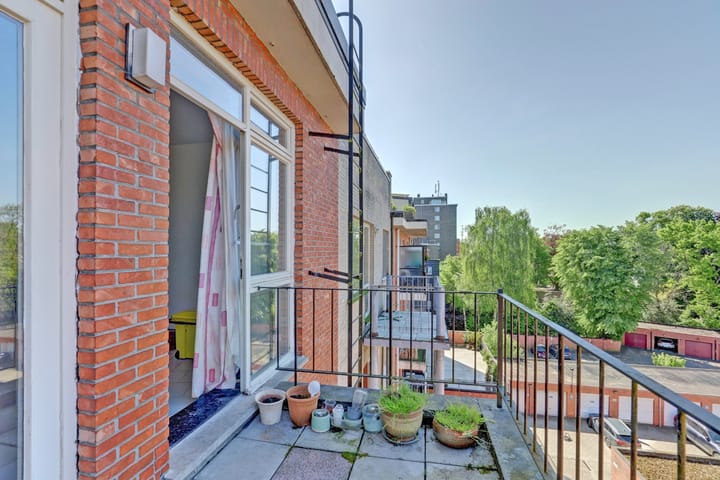 Foto 21 van de Merodelei 32