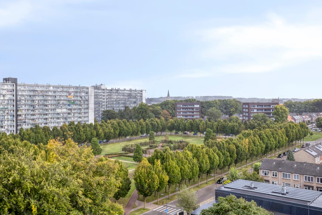 Foto 31 van Eisenhowerstraat 501