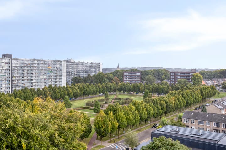 Foto 31 van Eisenhowerstraat 501