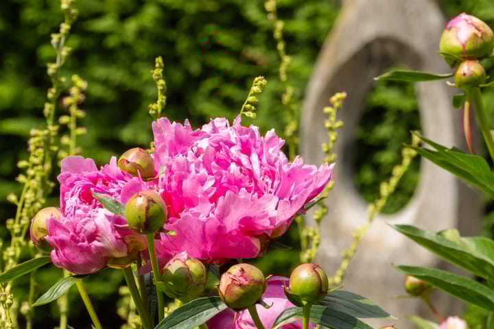 Photo 14 of Leklaan 26