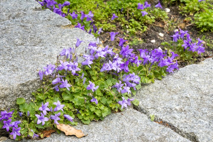 Photo 16 of Leklaan 26