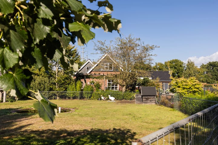 Photo 4 of Rijnvis 22