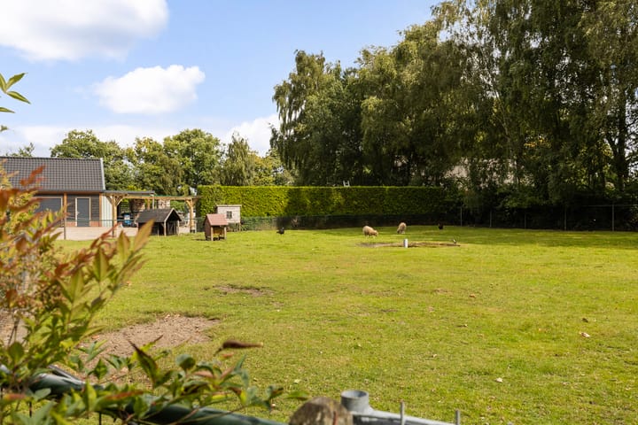 Photo 40 of Rijnvis 22