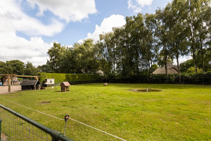 Photo 41 of Rijnvis 22