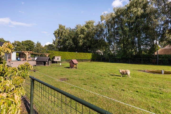 Photo 42 of Rijnvis 22