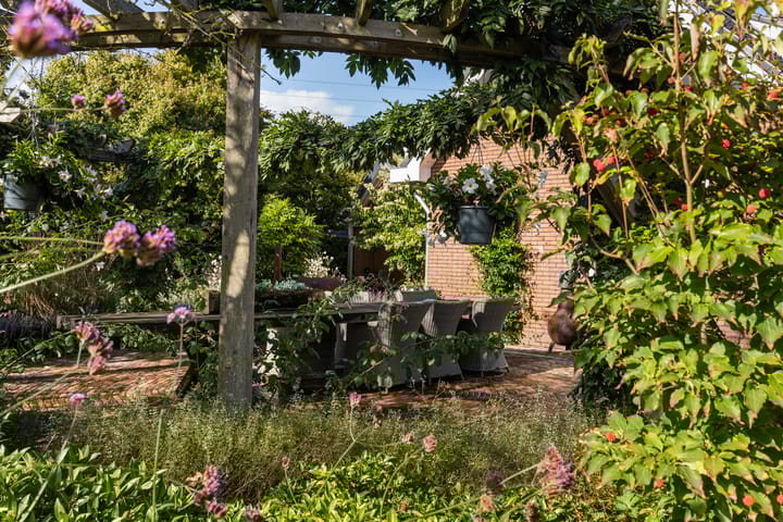 Photo 49 of Rijnvis 22