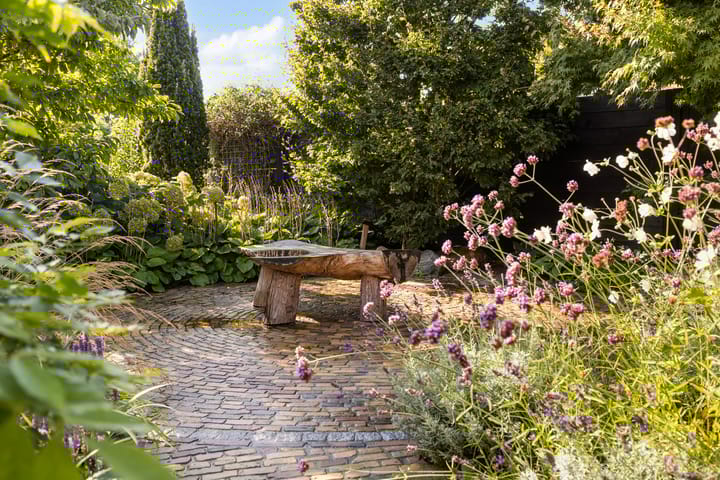 Photo 53 of Rijnvis 22