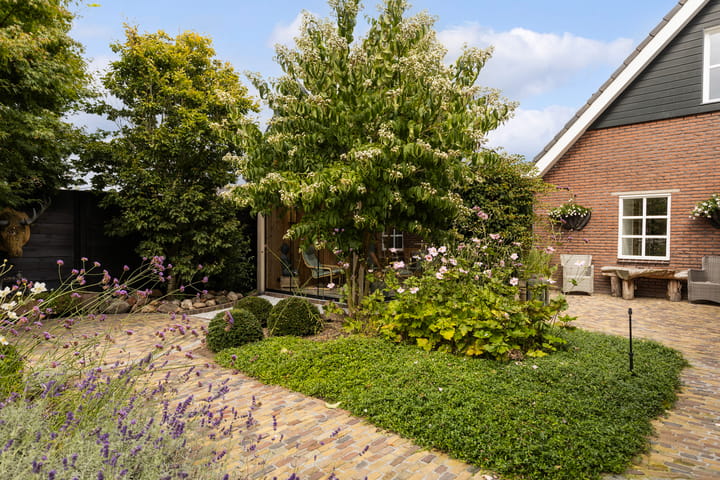 Photo 58 of Rijnvis 22