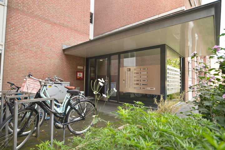 Foto 5 van Dillegaard 150