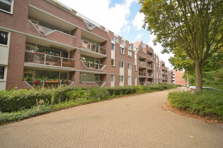 Foto 2 van Dillegaard 150