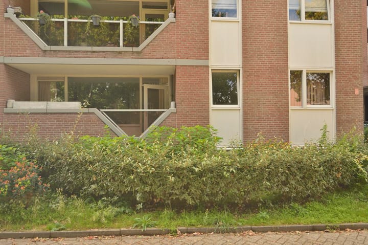 Foto 3 van Dillegaard 150