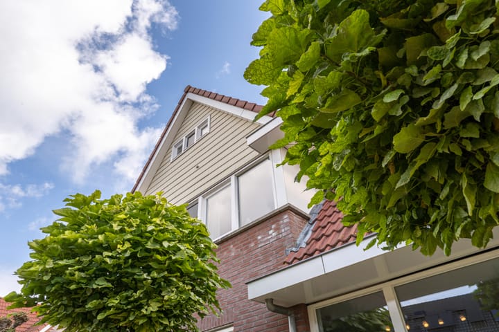 Foto 12 van Elstar 4