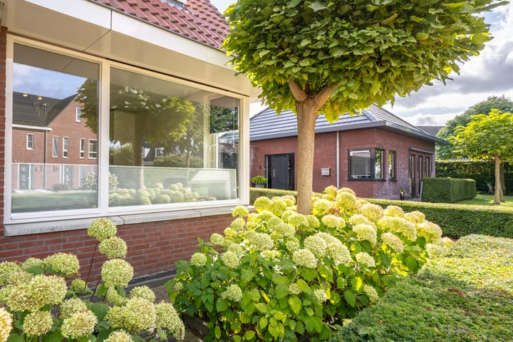 Foto 13 van Elstar 4