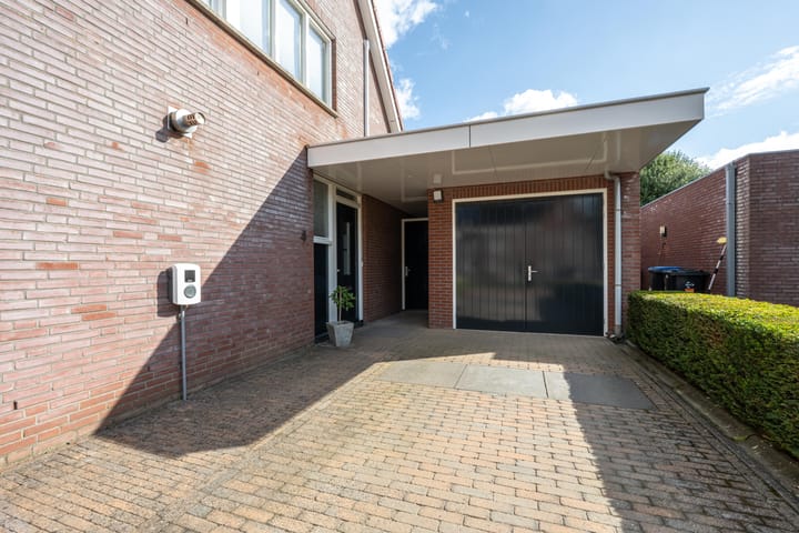 Foto 15 van Elstar 4