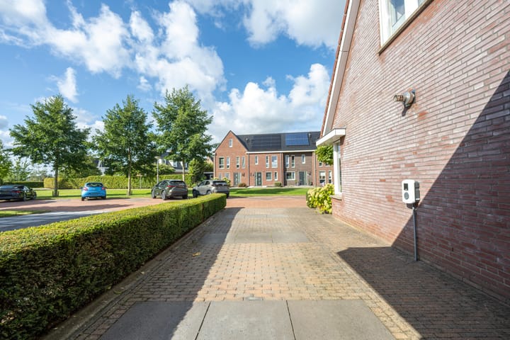 Foto 16 van Elstar 4