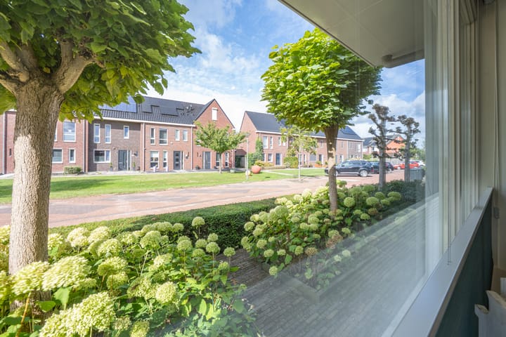 Foto 21 van Elstar 4