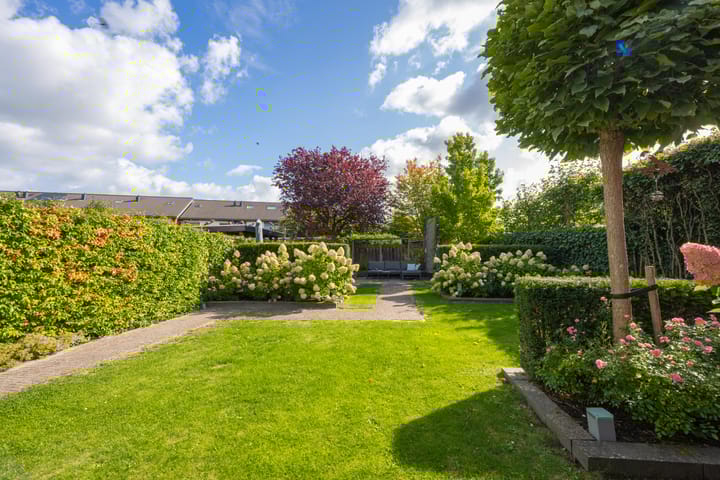 Foto 37 van Elstar 4