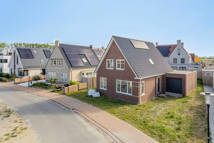 Foto 11 van Kokmeeuw 2