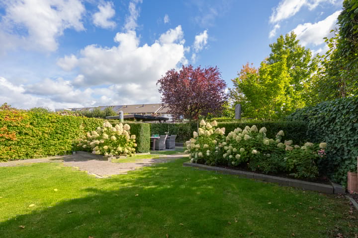 Foto 43 van Elstar 4