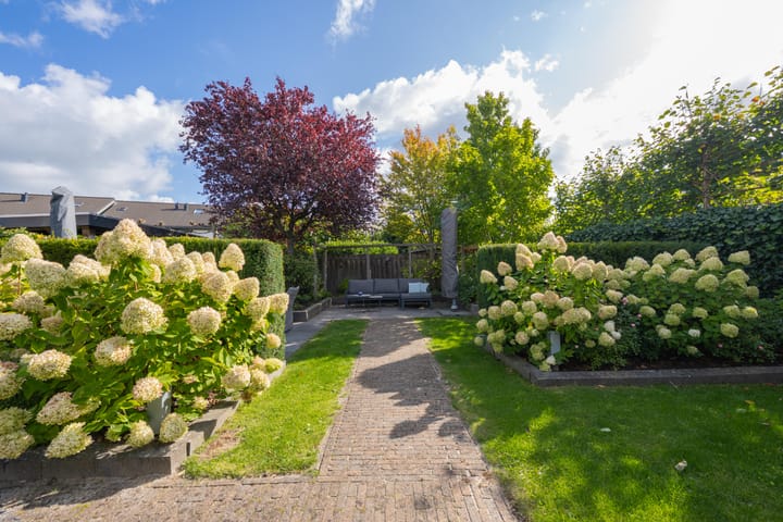 Foto 44 van Elstar 4