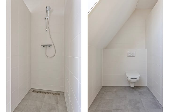 Foto 7 van Kokmeeuw 2