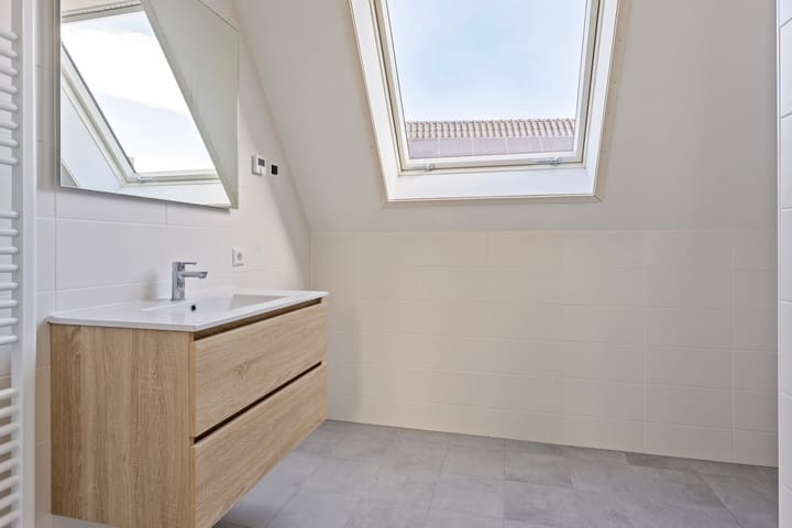 Foto 8 van Kokmeeuw 2