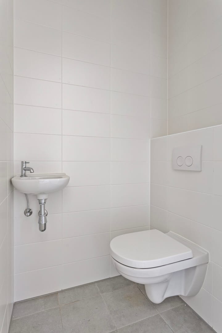 Foto 9 van Kokmeeuw 2