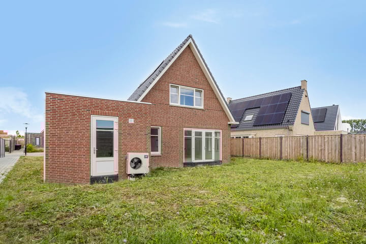 Foto 10 van Kokmeeuw 2