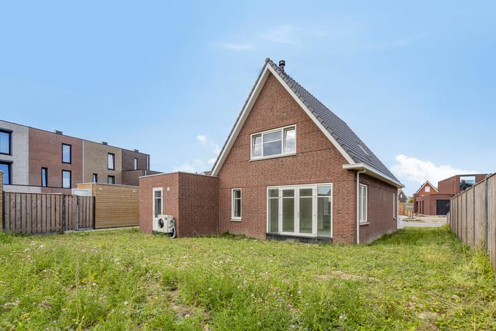 Foto 12 van Kokmeeuw 2