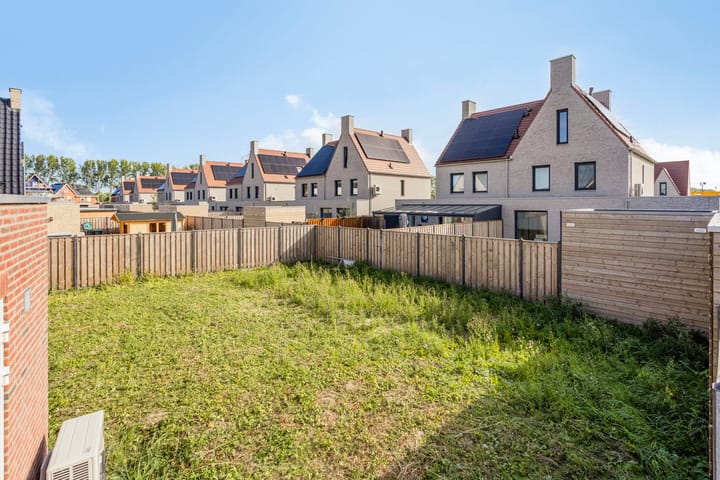 Foto 13 van Kokmeeuw 2