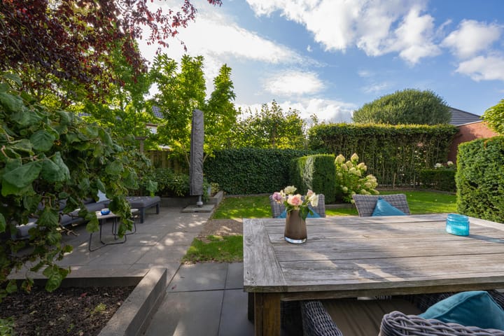 Foto 49 van Elstar 4