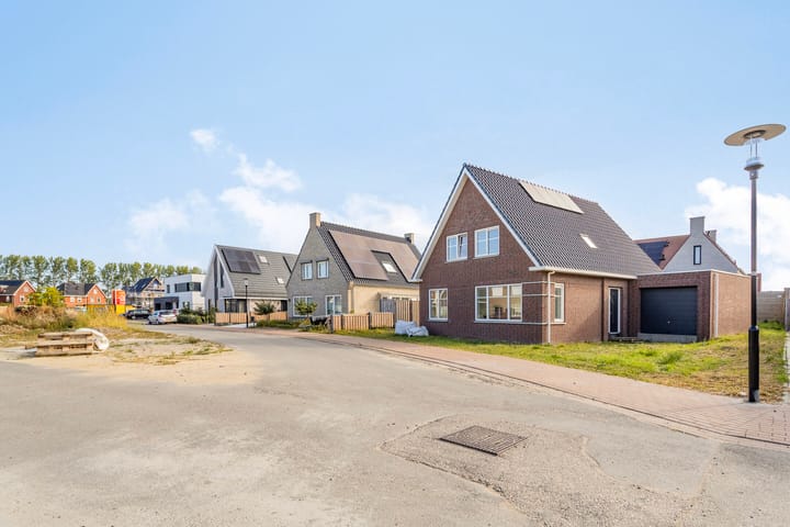 Foto 14 van Kokmeeuw 2