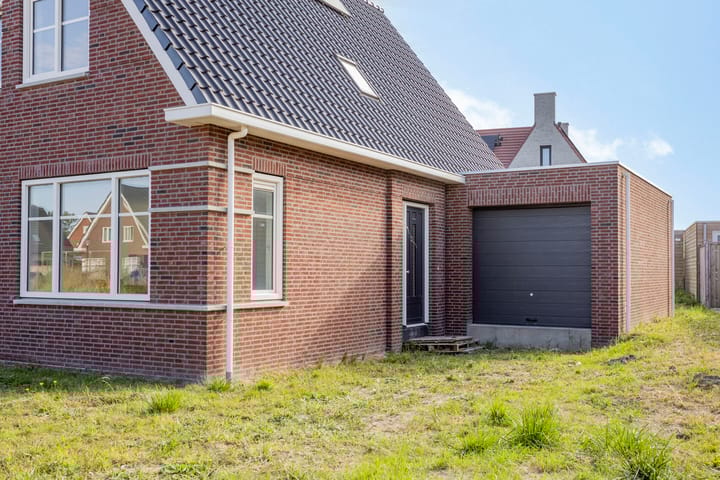 Foto 15 van Kokmeeuw 2