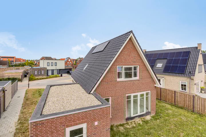 Foto 16 van Kokmeeuw 2