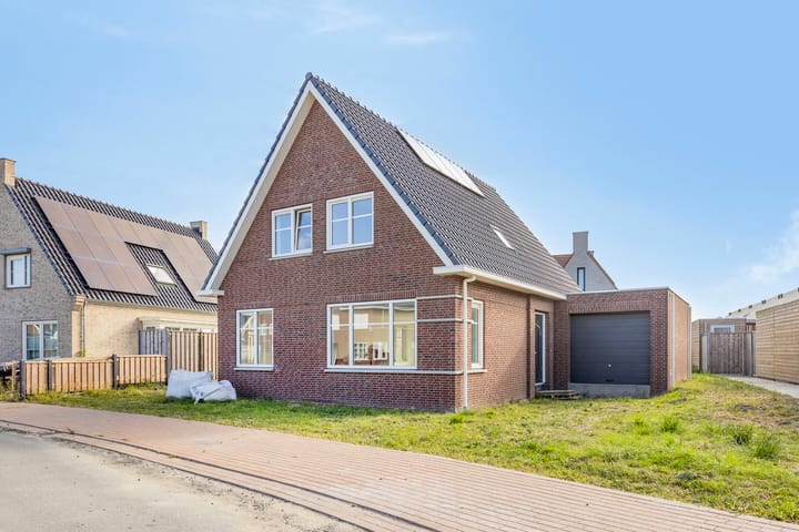 Foto 1 van Kokmeeuw 2