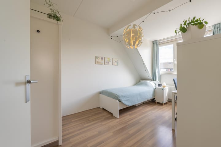 Foto 58 van Elstar 4