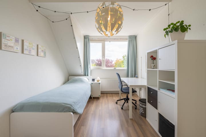 Foto 59 van Elstar 4