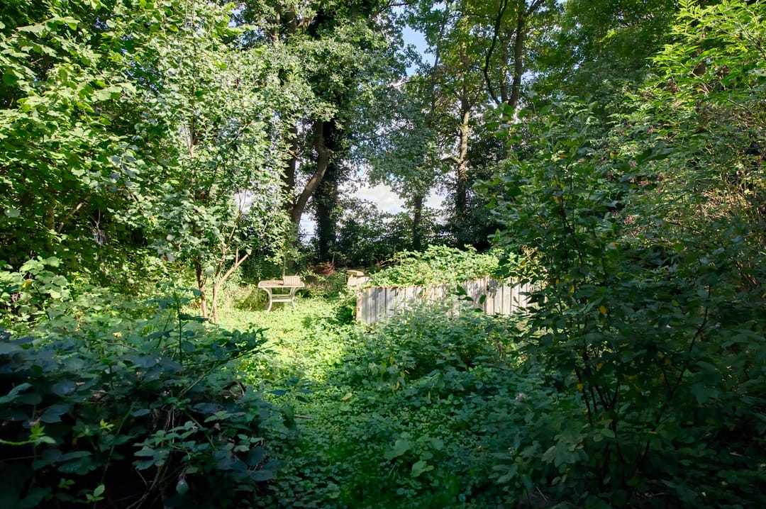 Foto 13 van Zuidwending