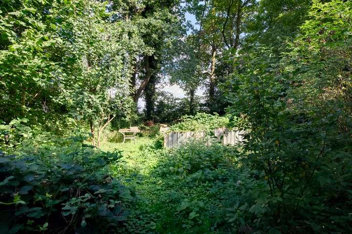 Foto 13 van Zuidwending