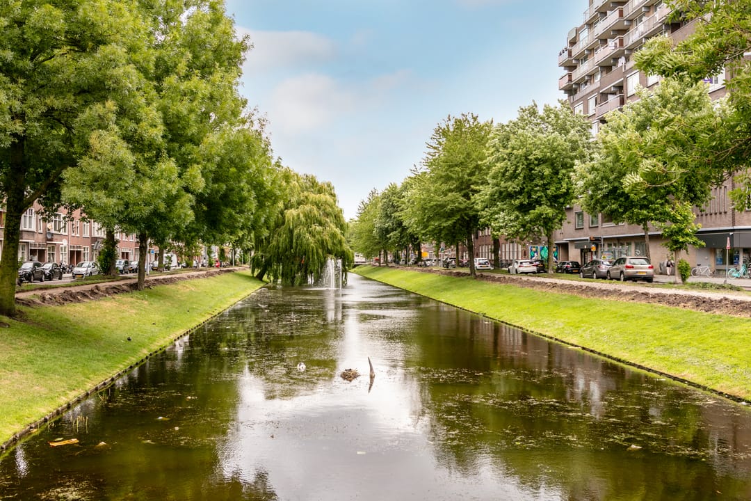 Foto 17 van Narcissenstraat 115-B