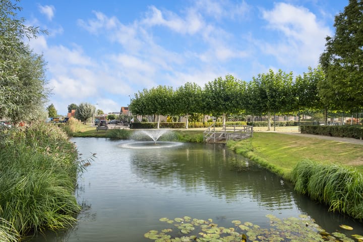 Foto 4 van Korenmaaier 5