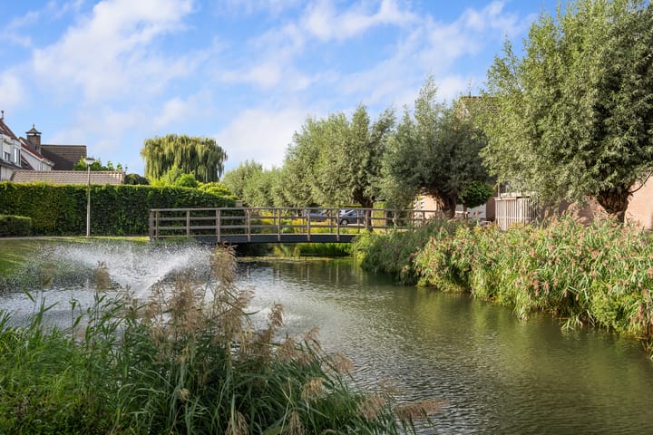 Foto 42 van Korenmaaier 5