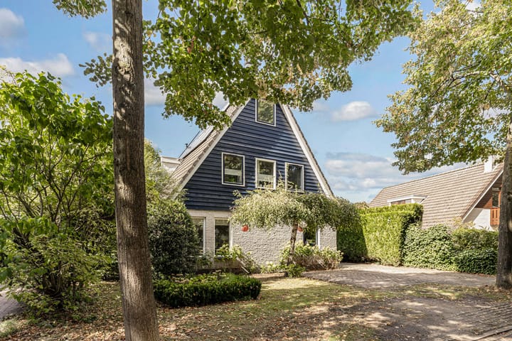 Foto 2 van Reggeplantsoen 5