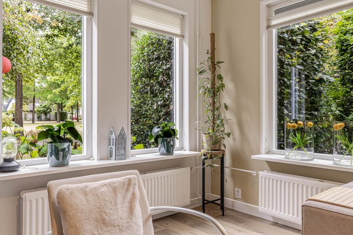 Foto 14 van Reggeplantsoen 5